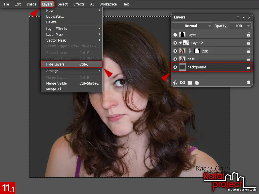 AliveColors 10.0 – Cutting Hair – Step 11.1 – Layers – Hide Layers