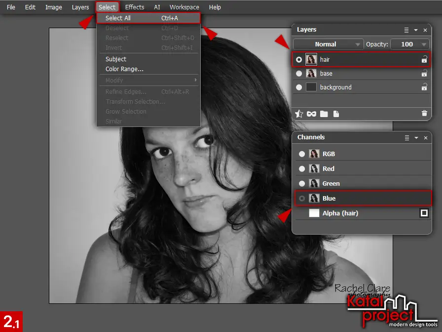 AliveColors 10.0 – Cutting Hair – Step 2.1 – Select – Select All