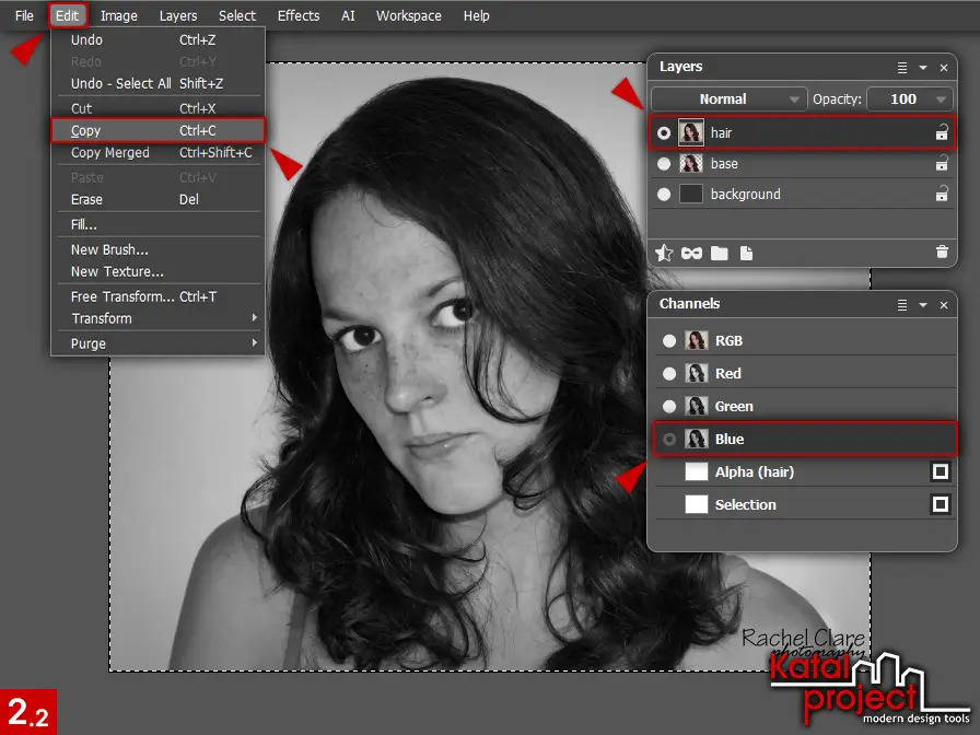 AliveColors 10.0 – Cutting Hair – Step 2.2 – Edit – Copy