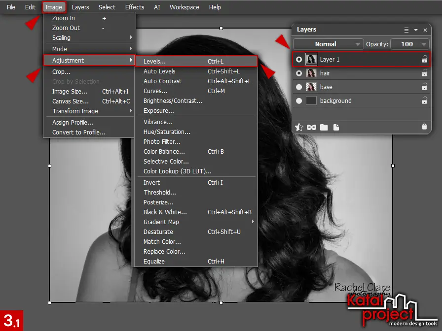 AliveColors 10.0 – Cutting Hair – Step 3.1 – Image – Adjustment – Levels