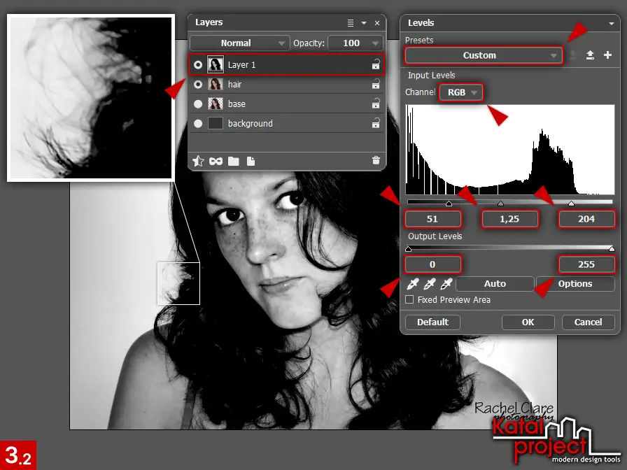 AliveColors 10.0 – Cutting Hair – Step 3.2 – Levels