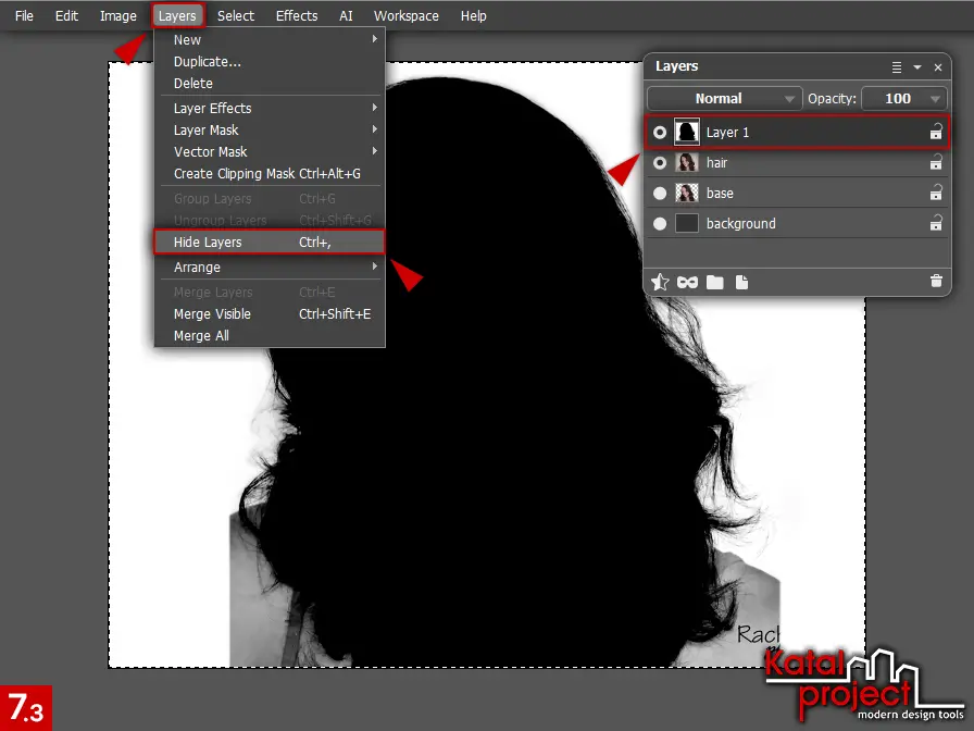 AliveColors 10.0 – Cutting Hair – Step 7.3 – Layers – Hide Layers