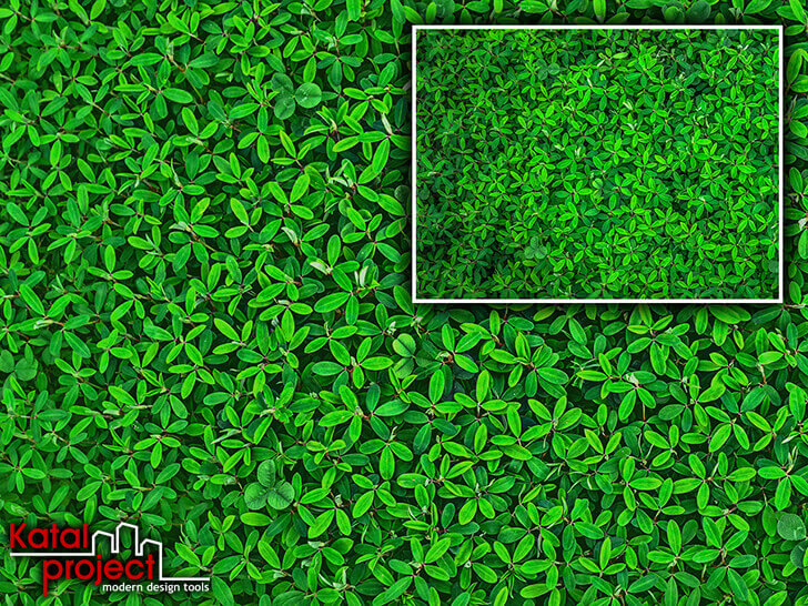 Выравнивание цвета текстуры в Photoshop на примере фотографии травы